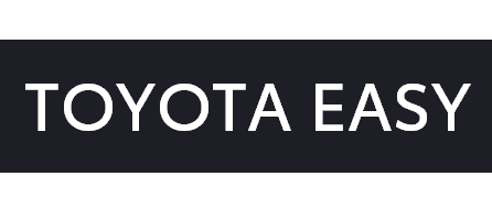 Toyota Easy